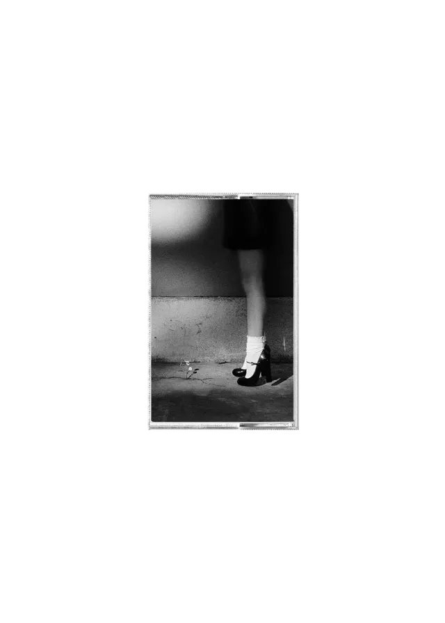 Ariana Grande Petal Kassette recycelt schwarz