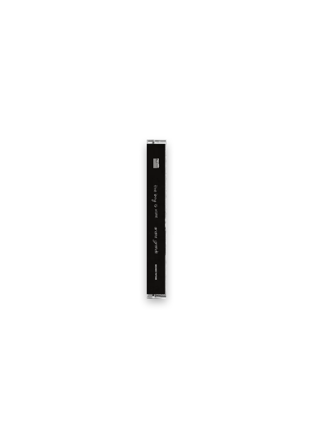 Ariana Grande The Boy Is Mine Kassette Single A-cappella