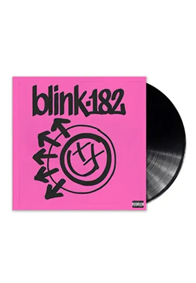 Blink-182 One More Time... Vinyl LP Pop Punk